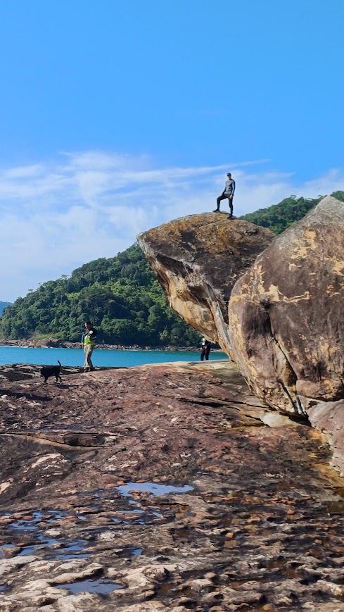 imagens das trilhas anteriores na trilha 7 praias de Ubatuba, com a Nativa Ecotrilhas