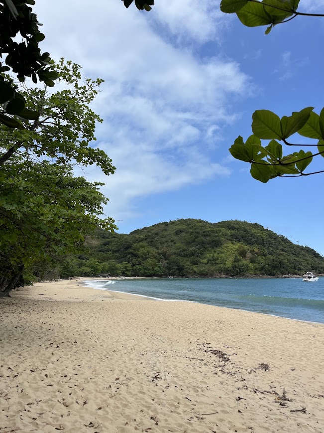 TRILHA DAS 7 PRAIAS - SETE PRAIAS DE UBATUBA - 7 PRAIAS DE UBATUBA - TRILHAS SP - NATIVA ECOTRILHAS - PRAIAS - UBATUBA - PRAIA UBATUBA (15)