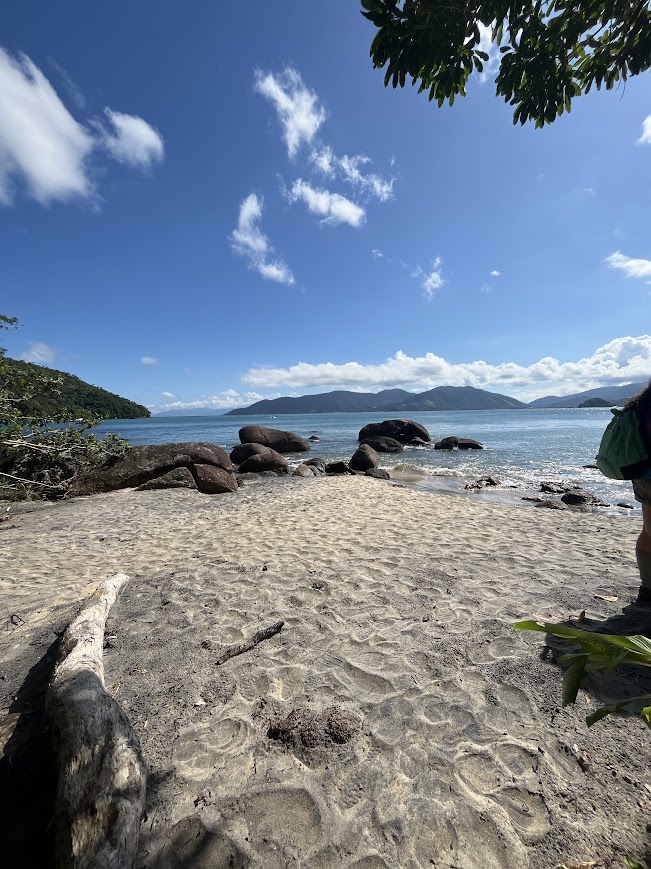 TRILHA DAS 7 PRAIAS - SETE PRAIAS DE UBATUBA - 7 PRAIAS DE UBATUBA - TRILHAS SP - NATIVA ECOTRILHAS - PRAIAS - UBATUBA - PRAIA UBATUBA (27)