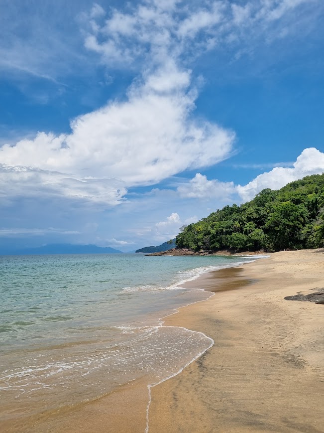TRILHA DAS 7 PRAIAS - SETE PRAIAS DE UBATUBA - 7 PRAIAS DE UBATUBA - TRILHAS SP - NATIVA ECOTRILHAS - PRAIAS - UBATUBA - PRAIA UBATUBA (4)