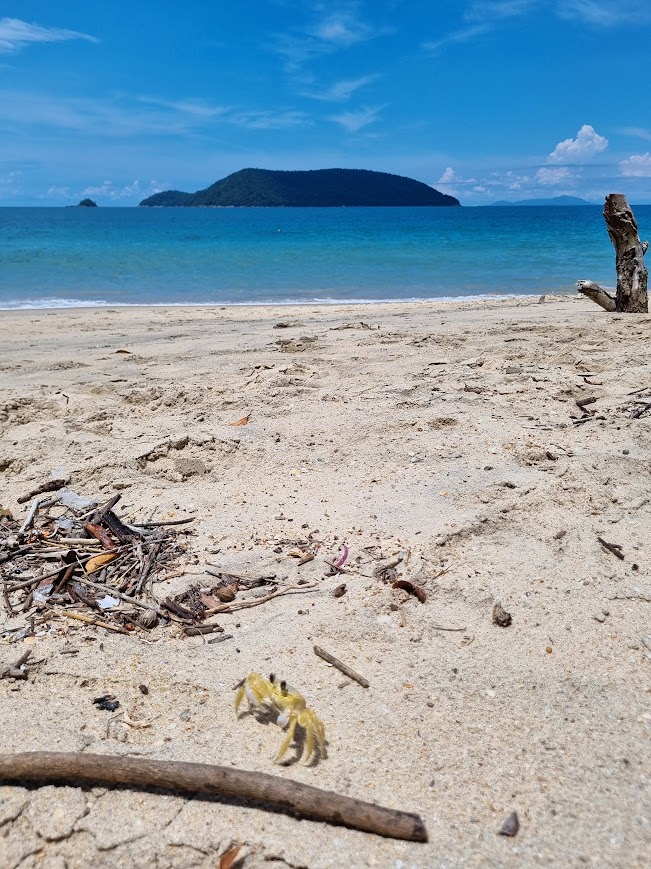 TRILHA DAS 7 PRAIAS - SETE PRAIAS DE UBATUBA - 7 PRAIAS DE UBATUBA - TRILHAS SP - NATIVA ECOTRILHAS - PRAIAS - UBATUBA - PRAIA UBATUBA (5)