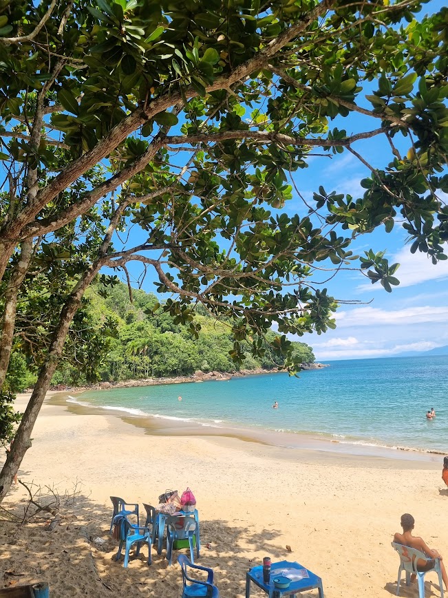 TRILHA DAS 7 PRAIAS - SETE PRAIAS DE UBATUBA - 7 PRAIAS DE UBATUBA - TRILHAS SP - NATIVA ECOTRILHAS - PRAIAS - UBATUBA - PRAIA UBATUBA (6)