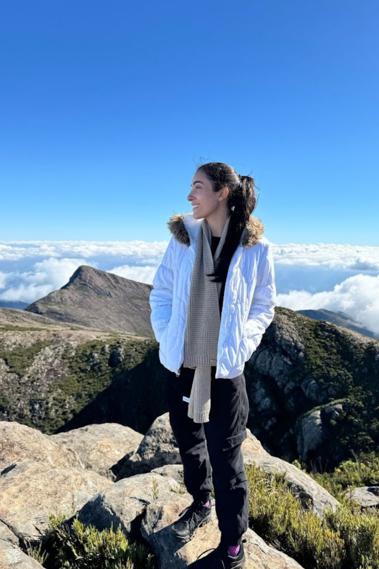 Pico da Bandeira - Pico Cristal - Alto Caparaó - vale encantado - trilhas sp (1)