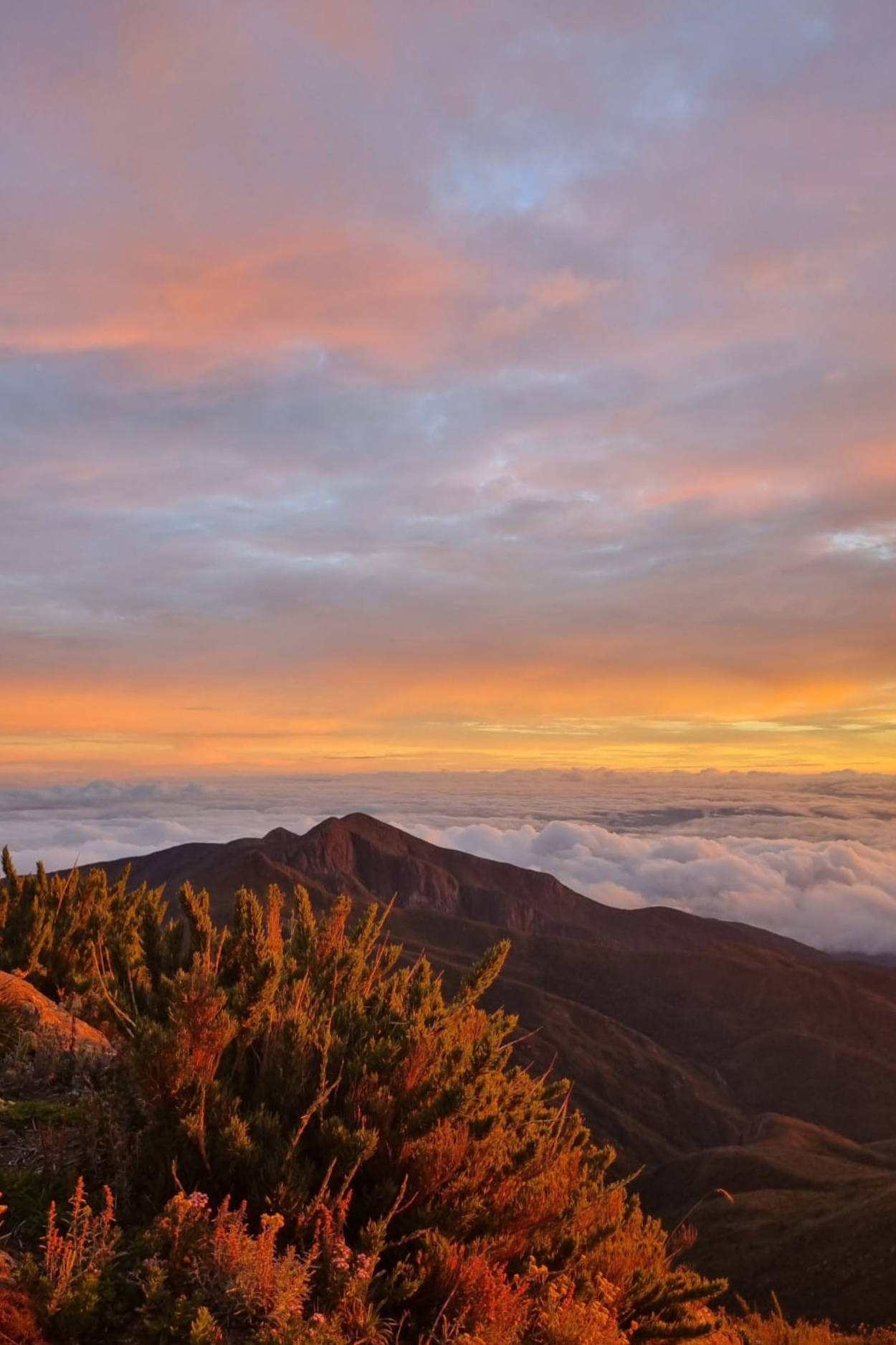 Pico da Bandeira - Pico Cristal - Alto Caparaó - vale encantado - trilhas sp (7)