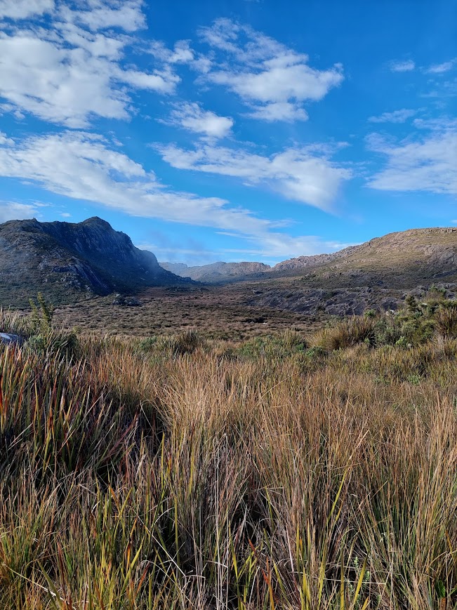 PEDRA DO ALTAR - CINCO LAGOS - ITATIAIA - SERRA DA MANTIQUEIRA - TRILHAS SP - NATIVA ECOTRILHAS (33)