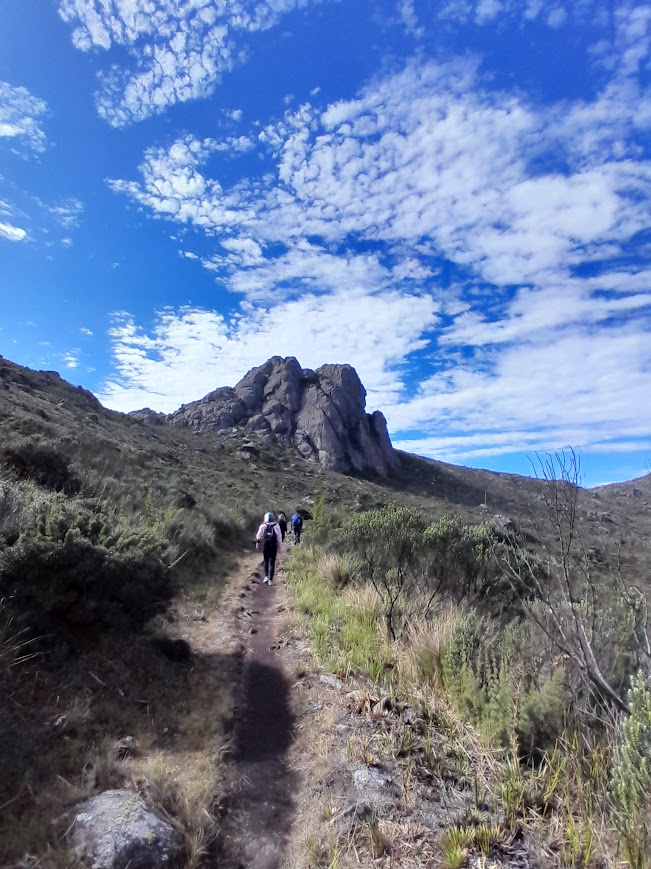 PEDRA DO ALTAR - CINCO LAGOS - ITATIAIA - SERRA DA MANTIQUEIRA - TRILHAS SP - NATIVA ECOTRILHAS (34)