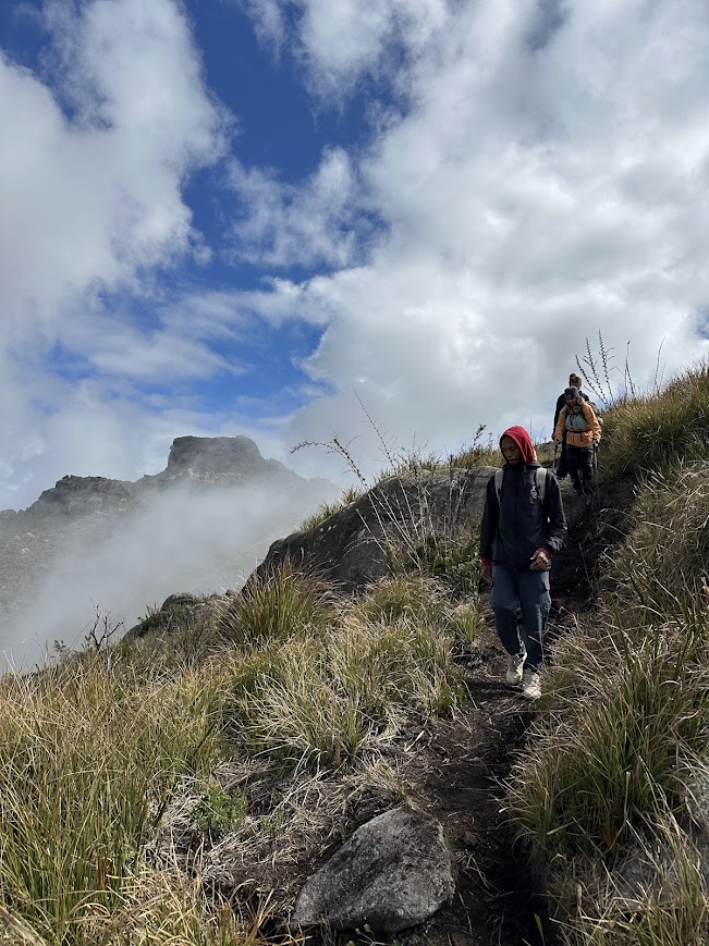 TRAVESSIA COUTRO X PRATELEIRAS - MORRO DO COUTO - BASE PRATELEIRAS - ITATIAIA - TRILHAS SP - NATIVA ECOTRILHAS (11)