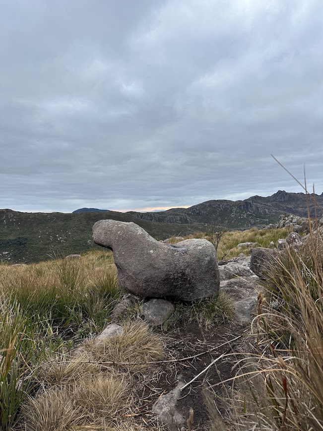 TRAVESSIA COUTRO X PRATELEIRAS - MORRO DO COUTO - BASE PRATELEIRAS - ITATIAIA - TRILHAS SP - NATIVA ECOTRILHAS (26)