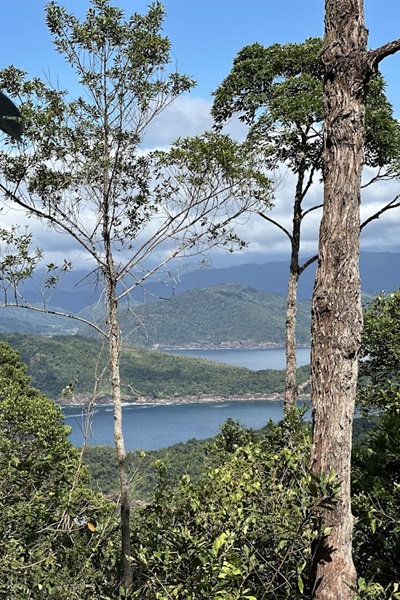 SACO BRAVO - CACHOEIRA DO SACO BRAVO - PARATY - TRILHAS EM SP - NATIVA ECOTRILHAS - CACHOEIRA - TRILHAS EM RJ - TRILHAS RJ - TRILHAS SP (10)