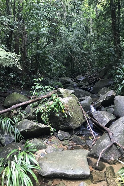 SACO BRAVO - CACHOEIRA DO SACO BRAVO - PARATY - TRILHAS EM SP - NATIVA ECOTRILHAS - CACHOEIRA - TRILHAS EM RJ - TRILHAS RJ - TRILHAS SP (16)